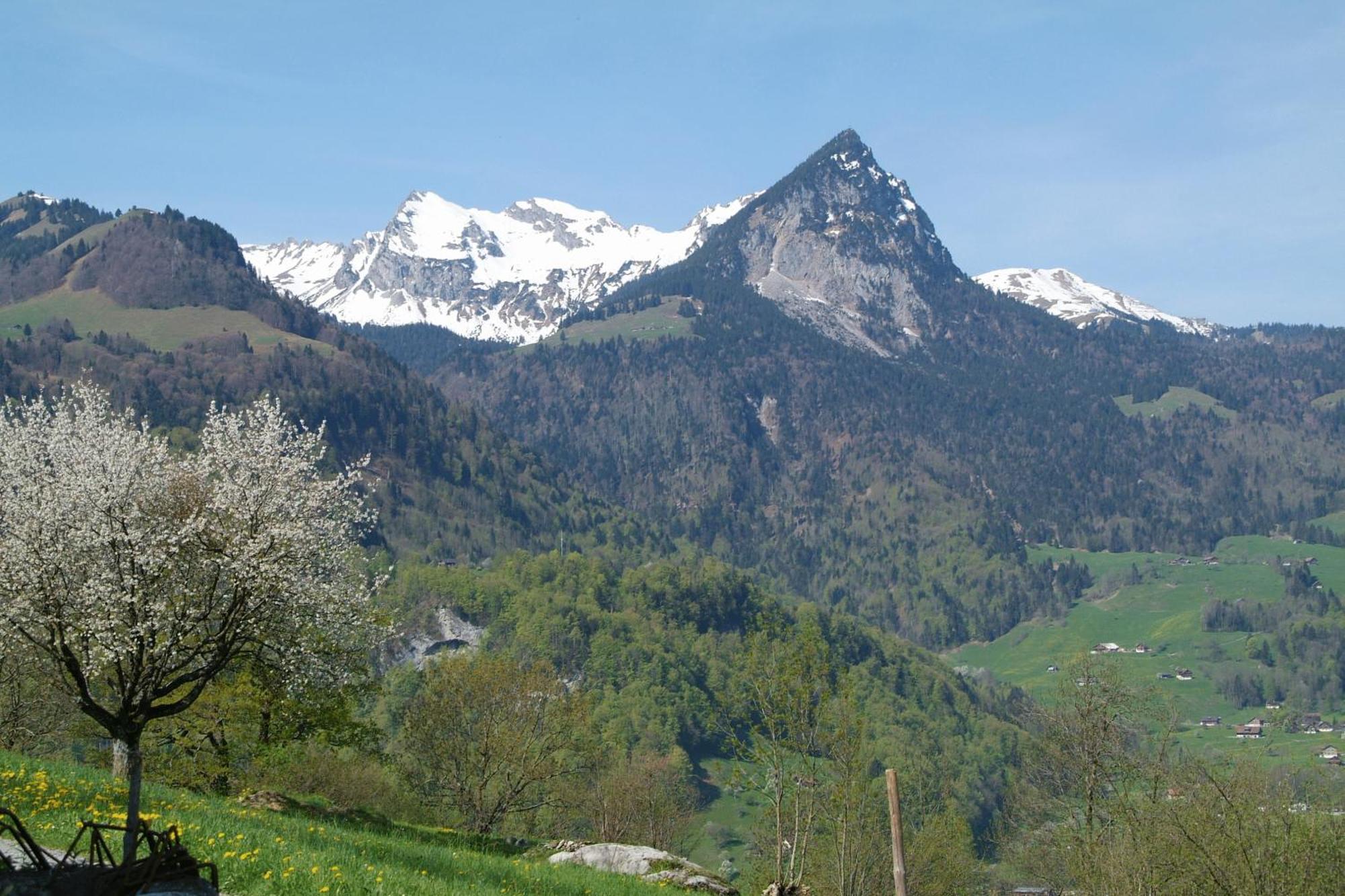 Landgasthof Grossteil Giswil Exterior foto