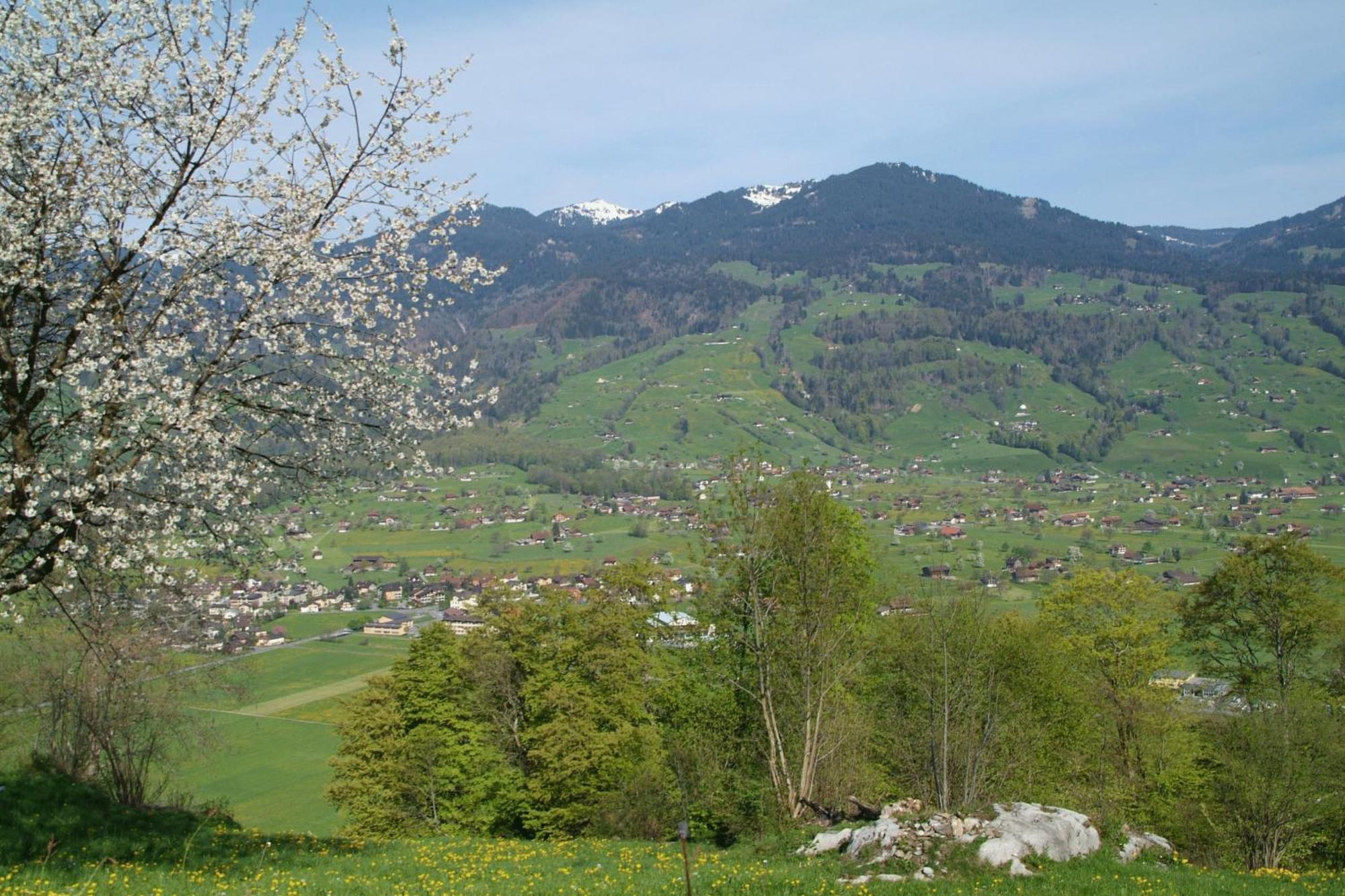 Landgasthof Grossteil Giswil Exterior foto