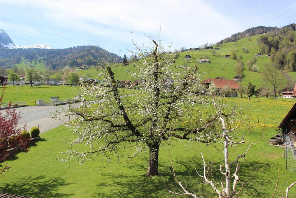 Landgasthof Grossteil Giswil Exterior foto